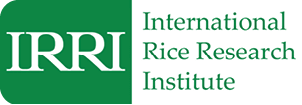 International Rice Research Institute (IRRI)
