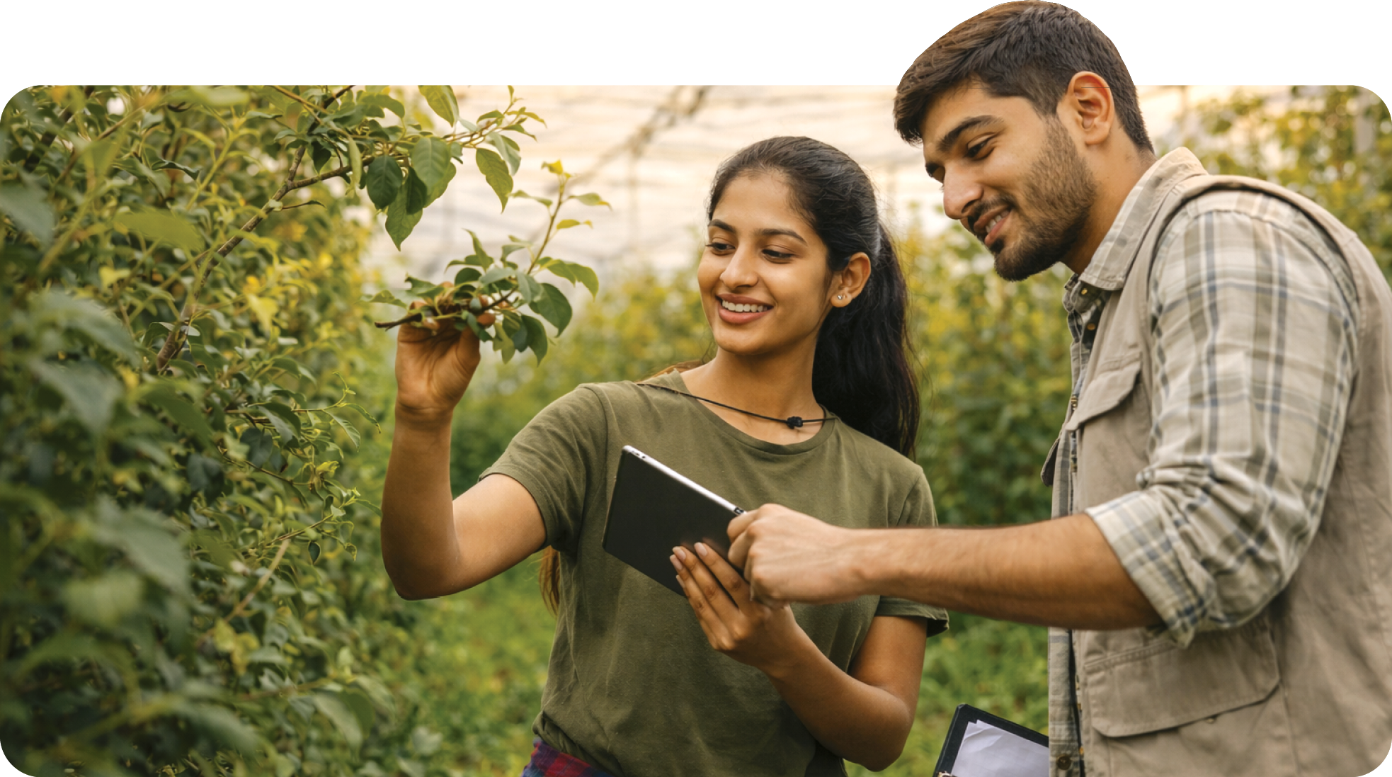 Agri-commodity team using digital tools in the field