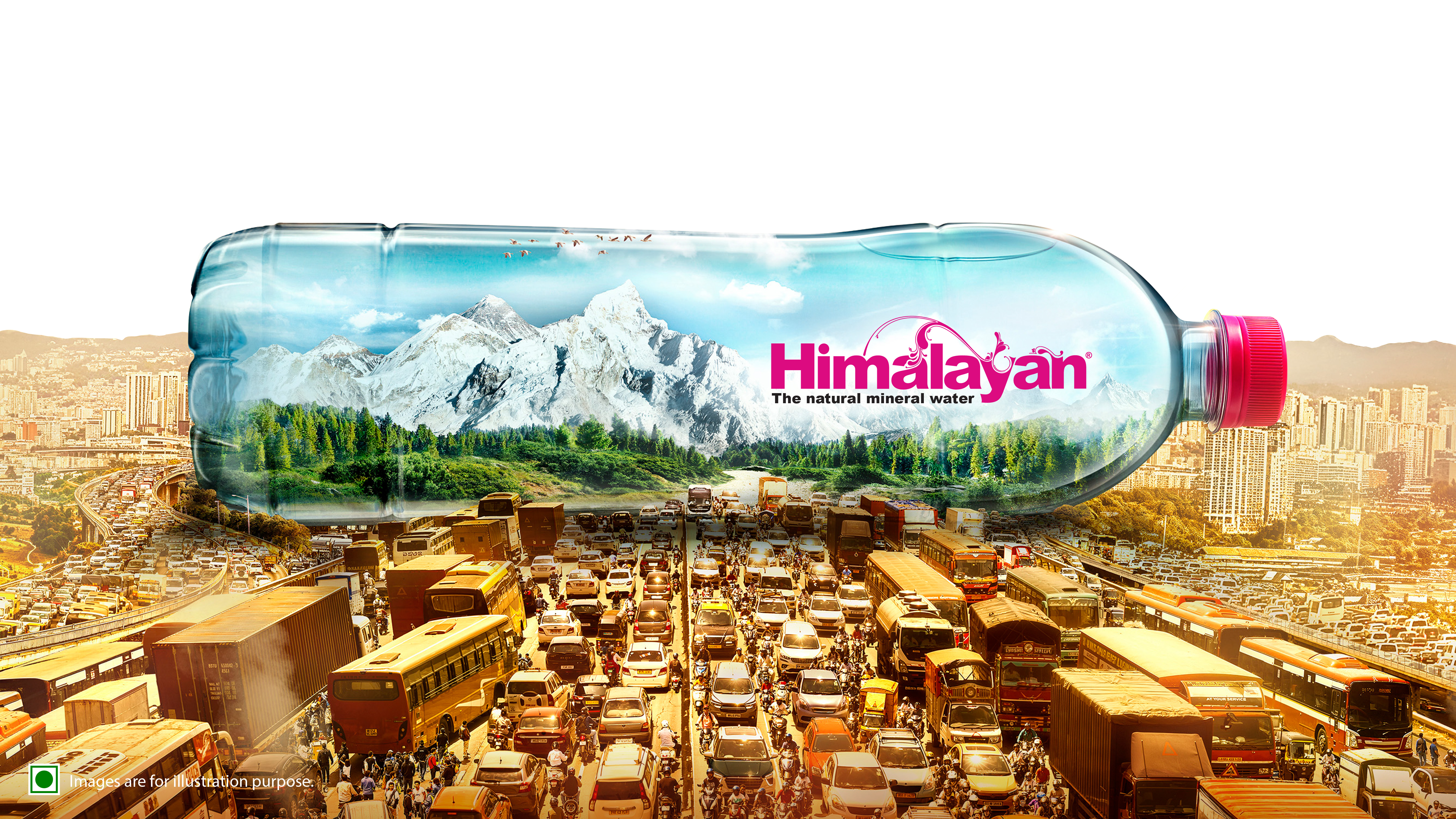 Brand Initiative