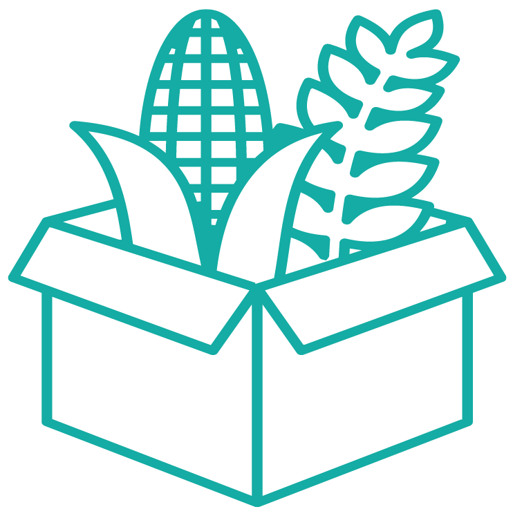 Card Icon