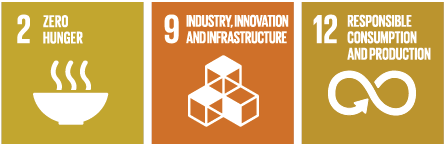 UNSDGs