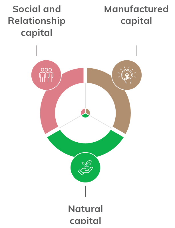 Capitals infographic