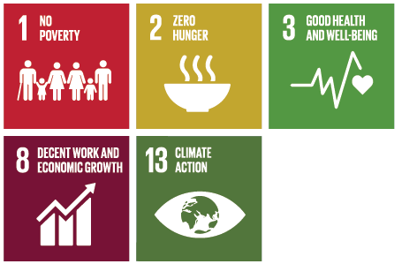 UNSDGs