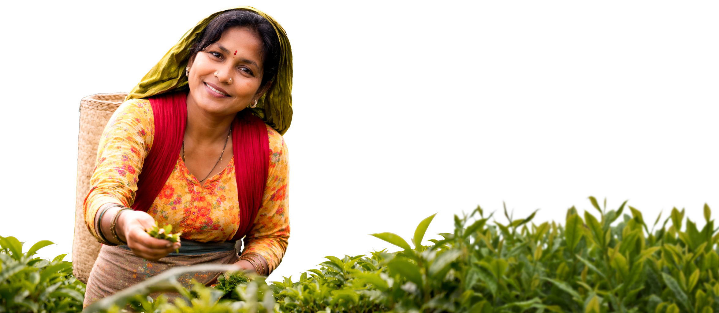 Sustainability worker