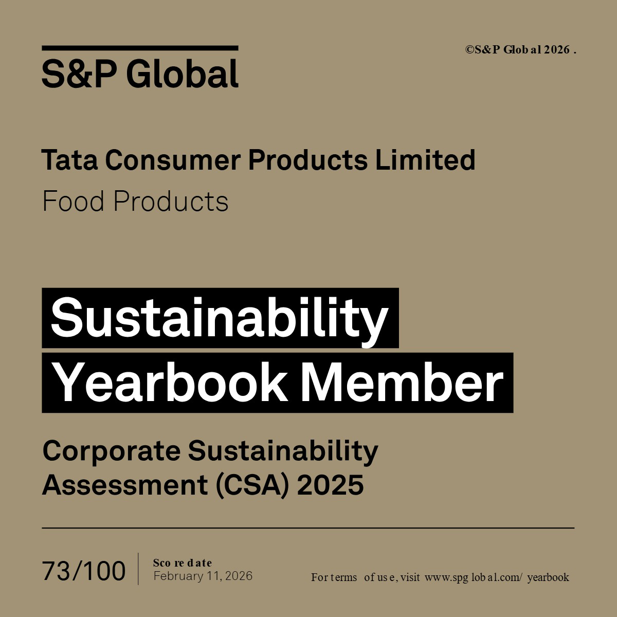 S&P Global Sustainability Award