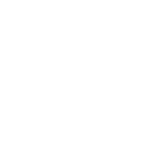 Stat Icon