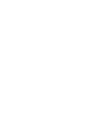 Stat Icon