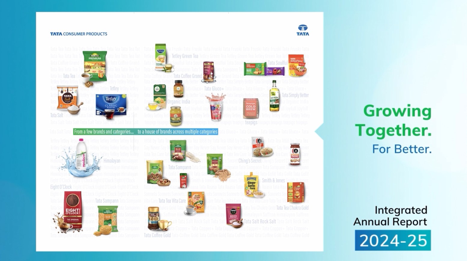 Annual Report 2024-25