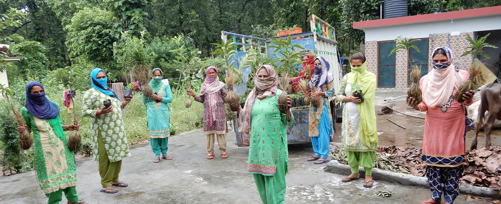 Project Jalodari