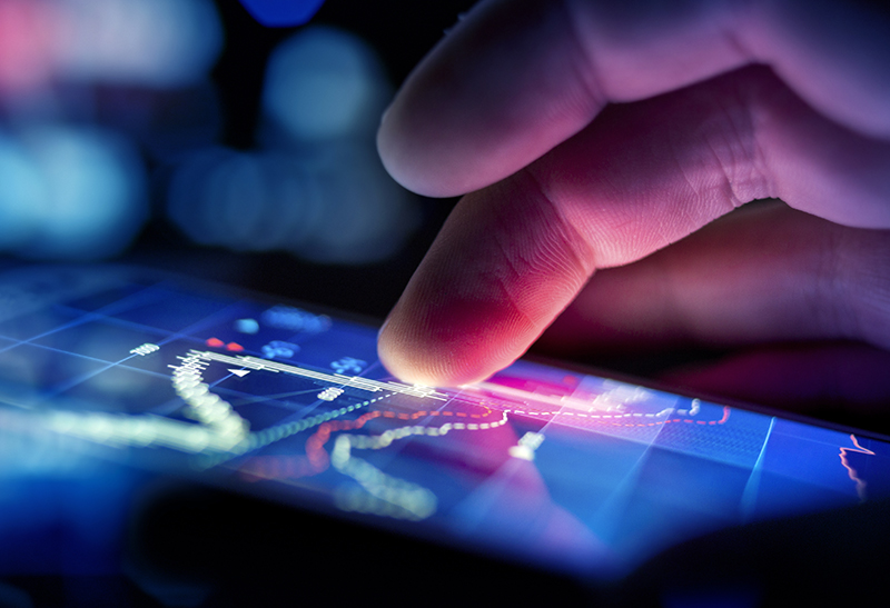 Shareholder Information