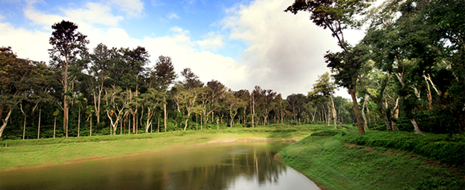 Tata Coffee water harvesting