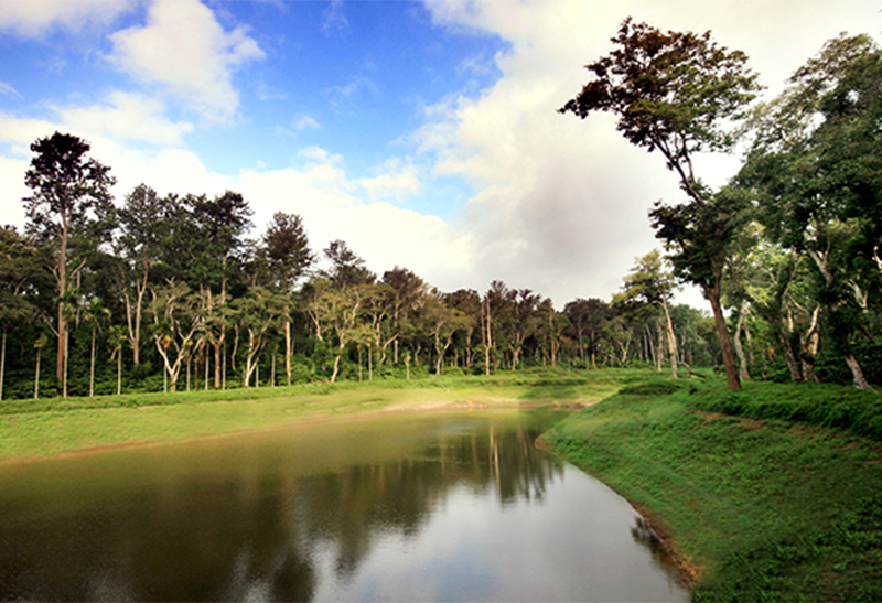 water harvesting