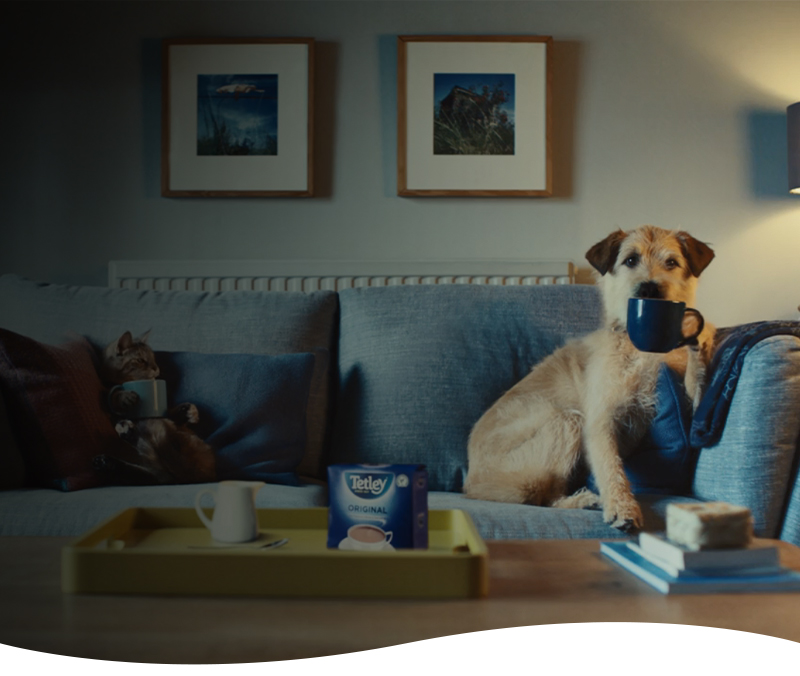 brands overview tetley mobile banner
