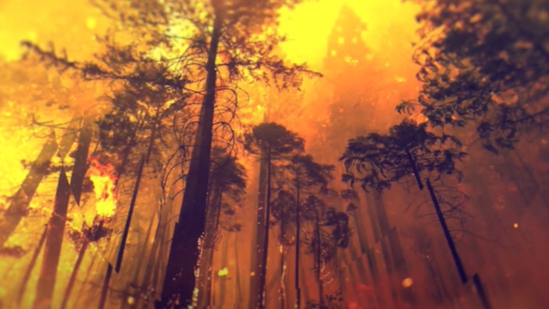 Climate change management: A low carbon vision